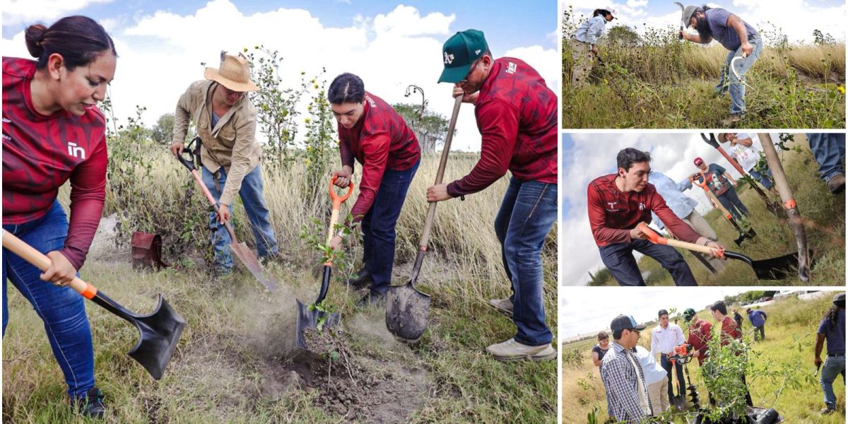 Realiza INJUVE Tamaulipas Segunda Jornada de Reforestación Comunitaria en Valle Hermoso