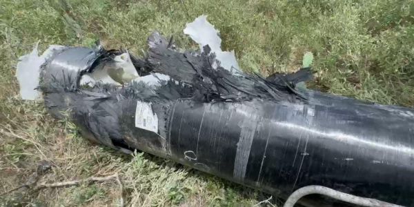 Explosión de SpaceX impacta fauna en Tamaulipas