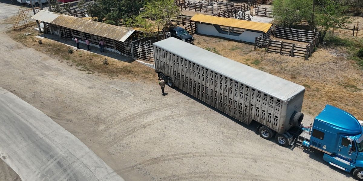 Continúan en alerta “Estaciones Cuarentenarias” de Tamaulipas