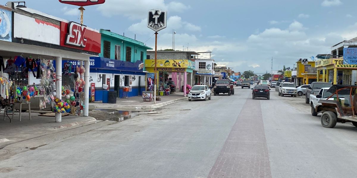 “Ataca” al Poblado la Pesca en Soto La Marina Plaga de zancudos gigantes