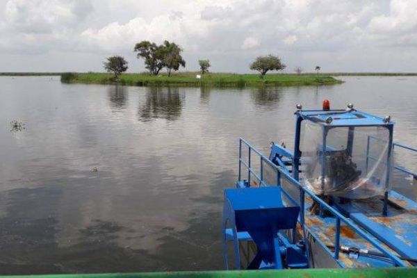 Lluvias alivian crisis hídrica en el sur de Tamaulipas, pero el norte sigue en estado crítico: CONAGUA