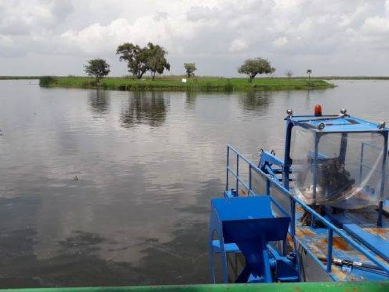 Lluvias alivian crisis hídrica en el sur de Tamaulipas, pero el norte sigue en estado crítico: CONAGUA