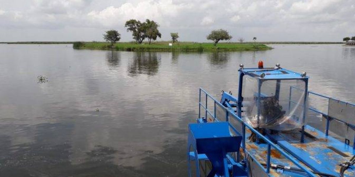 Lluvias alivian crisis hídrica en el sur de Tamaulipas, pero el norte sigue en estado crítico: CONAGUA