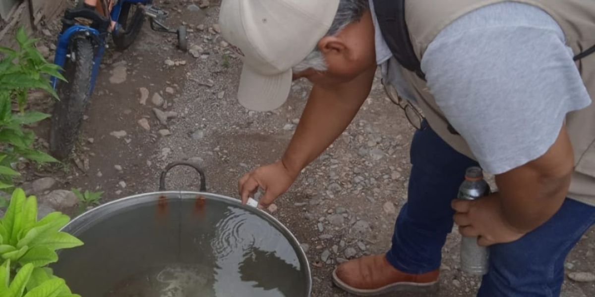 Sector Salud llama a las familias a eliminar criaderos de dengue