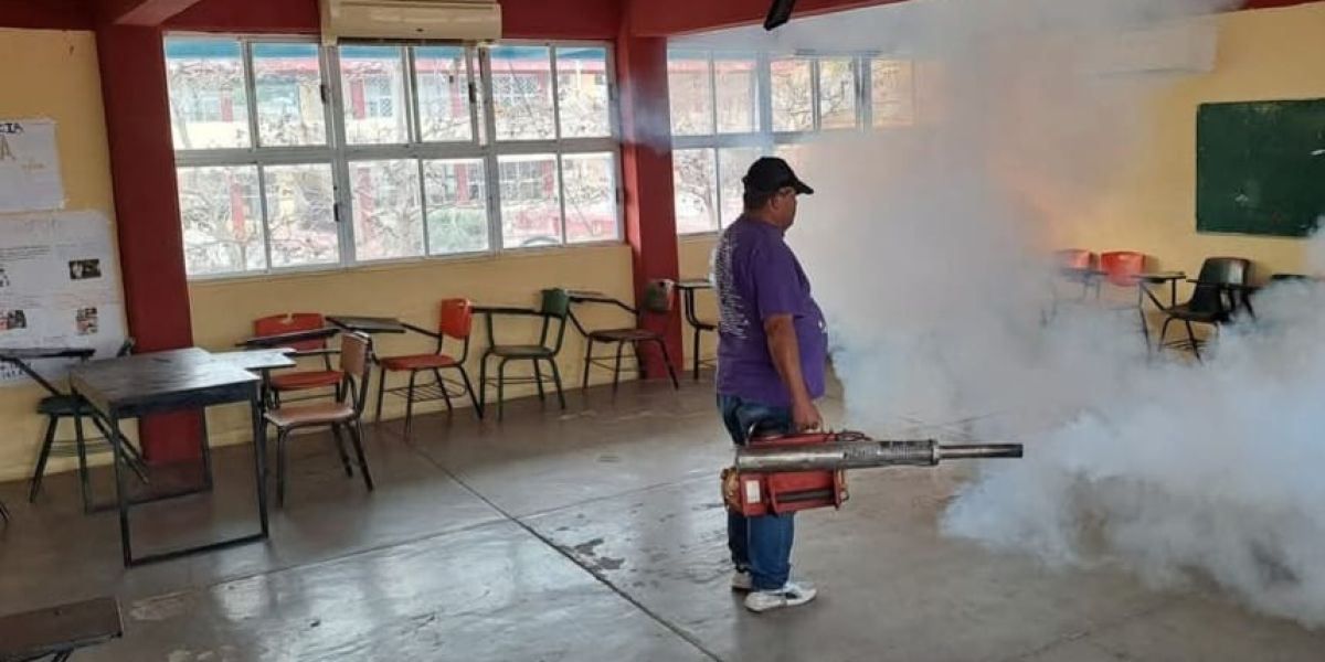 Dengue avanza entre jóvenes; piden a escuelas eliminar criaderos