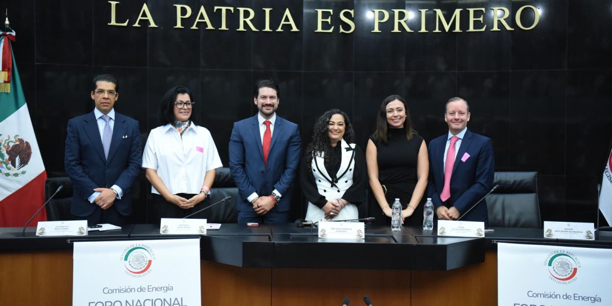 Desde el Senado impulsamos la soberanía energética de México: Senadora Olga Sosa
