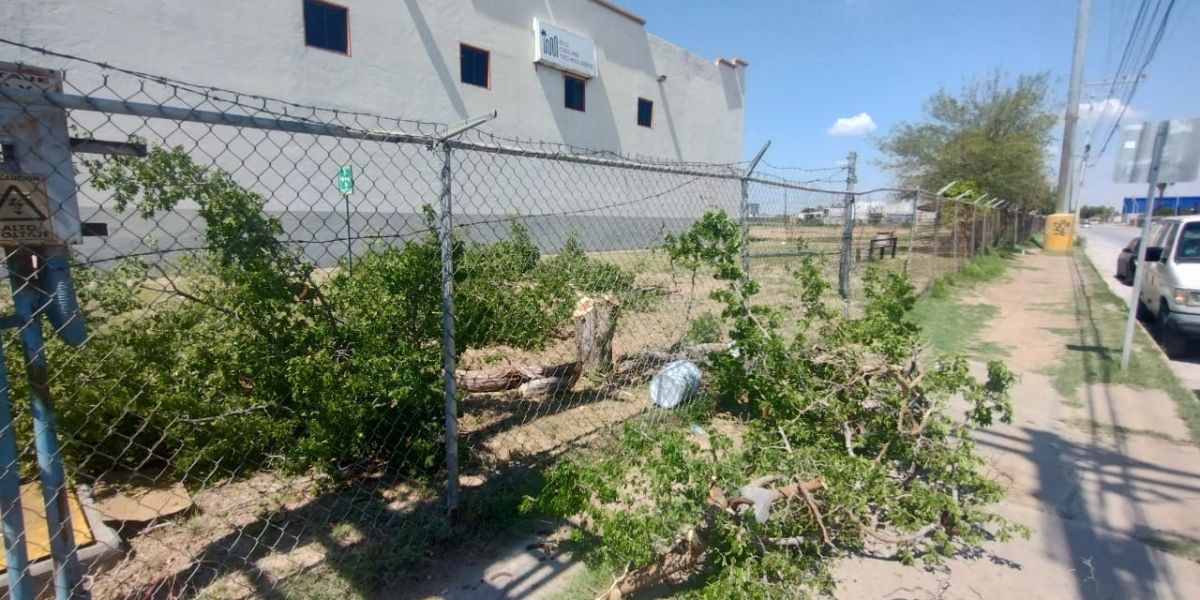 Gobierno municipal intensifica vigilancia y programas ecológicos para cuidar el entorno y fortalecer la conciencia ciudadana