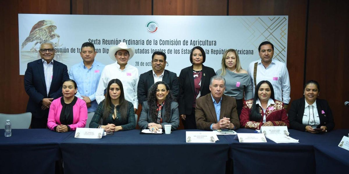 Comisión de agricultura recibe a diputadas y diputados de congresos locales para dialogar sobre las necesidades del campo mexicano Comisión de Agricultura analiza retos del campo mexicano