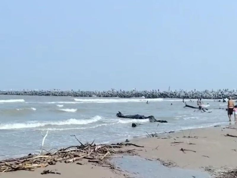 Persona fallecida y otra desaparecida tras hundirse embarcación