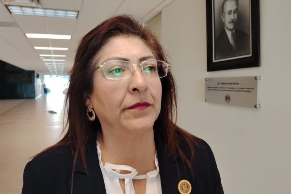 Afirma diputada no poder legislar contra bloqueos sin afectar libertades