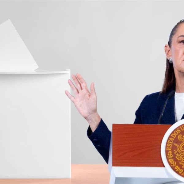 Aùn ‘en veremos’ si se quedan  OPLEs por Reforma Electoral