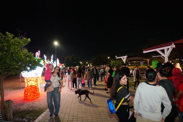 La magia te espera en el Viveros Mágico