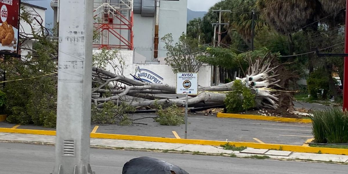 Tamaulipas recibirá el año con frío y humedad