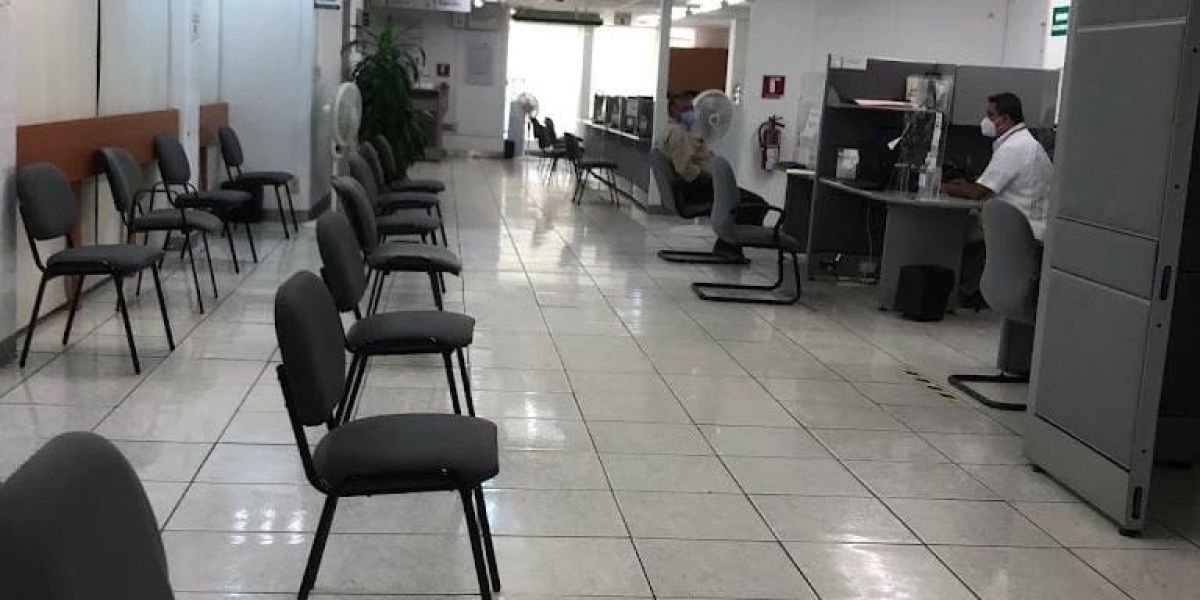 SAT reporta alta disponibilidad de citas presenciales en Tamaulipas