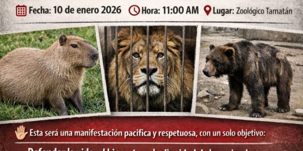 Convocan a marcha pacífica tras muerte de capibara en el Zoológico Tamatán