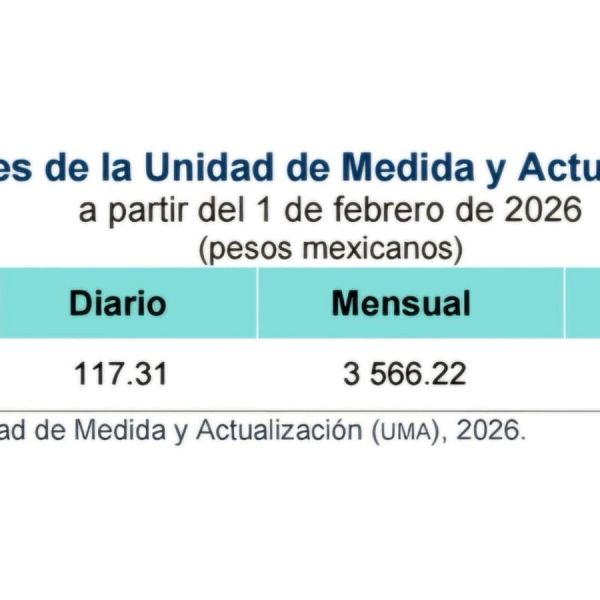 Multas de tránsito y trámites oficiales subirán de precio a partir de febrero