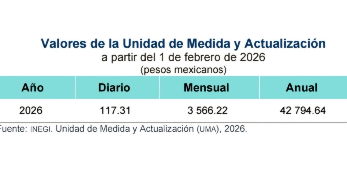 Multas de tránsito y trámites oficiales subirán de precio a partir de febrero