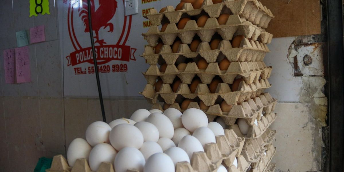 A la baja, el precio del huevo sorprende en cuesta de enero