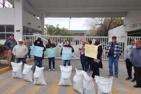 Iniciará compra de primeras 100 toneladas de frijol tras protestas