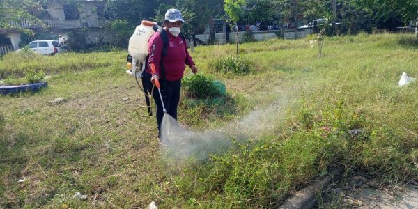 Se refuerzan acciones de salud pública en escuelas y zonas populares: Erasmo González