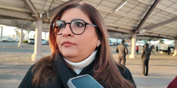 Denuncian despojo de inmuebles por invasión de predios en Altamira; podría sumarse delito ambiental