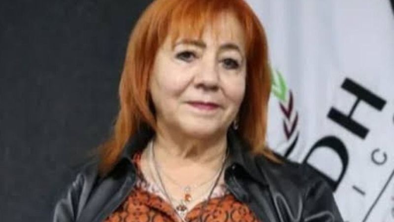 CNDH caminó para atrás con AMLO; democracia retrocedió