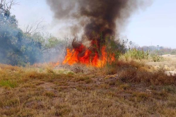 Alerta roja en Tamaulipas: calor, vientos y baja humedad disparan riesgo extremo de incendios