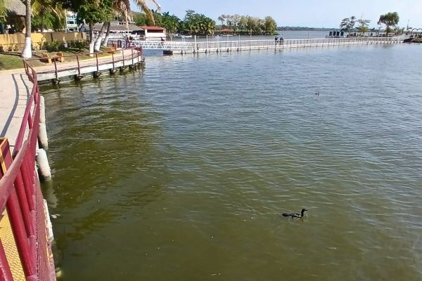 Buen nivel del sistema lagunario garantiza suministro de agua