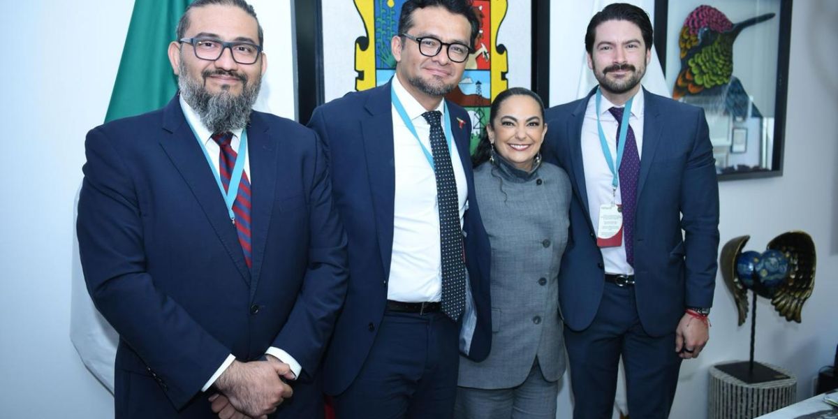 Coordinación institucional entre federación y estado para electrificar al 100% Tamaulipas