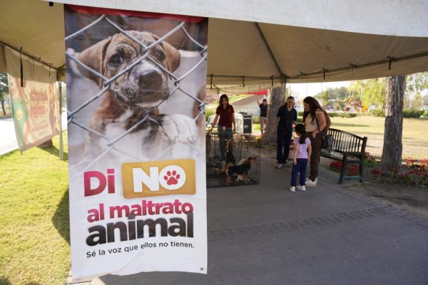 Impulsa bienestar animal la adopción responsable con jornada exitosa