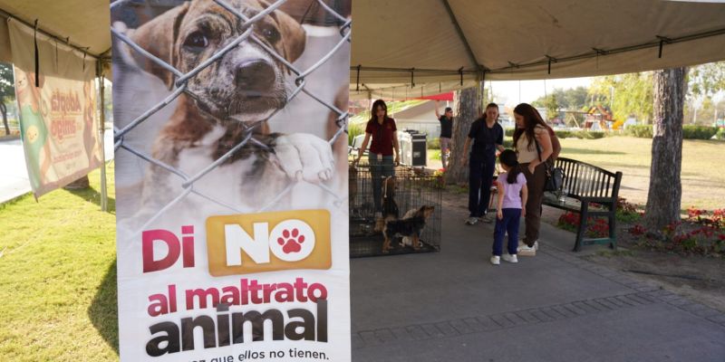 Impulsa bienestar animal la adopción responsable con jornada exitosa