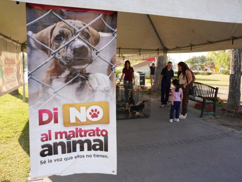 Impulsa bienestar animal la adopción responsable con jornada exitosa