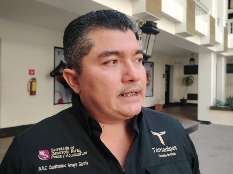 Repuntan casos de gusano barrenador en Tamaulipas; suman seis activos