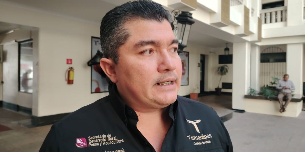 Repuntan casos de gusano barrenador en Tamaulipas; suman seis activos