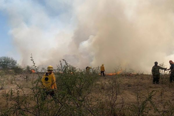 Incendio de pastizal moviliza a cuerpos de emergencia en Soto La Marina