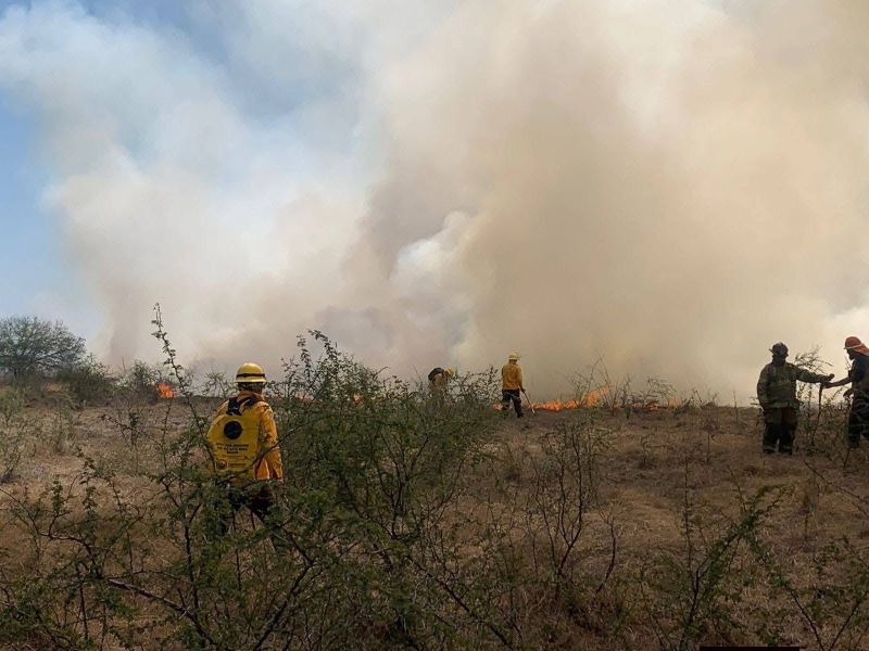 Incendio de pastizal moviliza a cuerpos de emergencia en Soto La Marina
