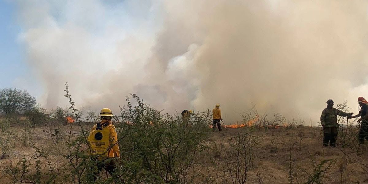 Incendio de pastizal moviliza a cuerpos de emergencia en Soto La Marina