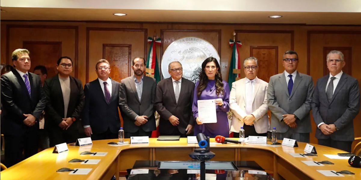 Por fin, la iniciativa de reforma ya está en la Cámara de Diputados