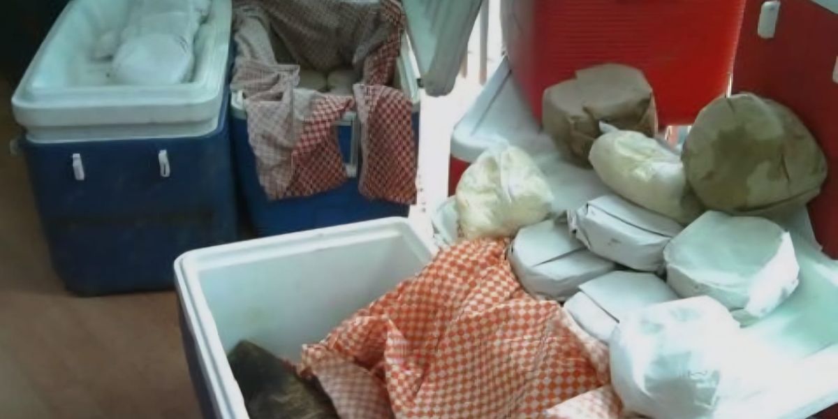 PROFECO advierte multas millonarias por venta de tortillas en hieleras