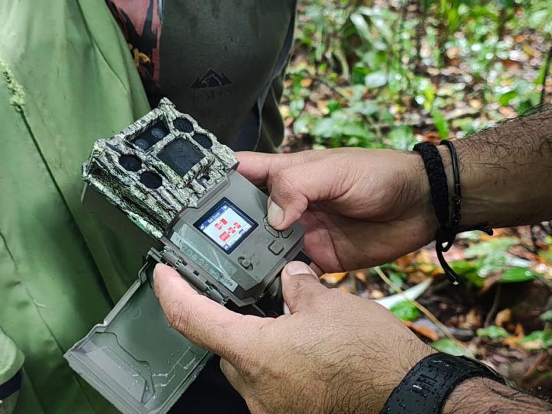 Activan “cámaras trampa” para cazar al temido gusano barrenador