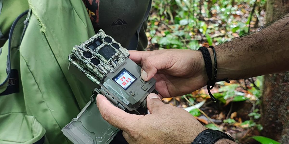 Activan “cámaras trampa” para cazar al temido gusano barrenador