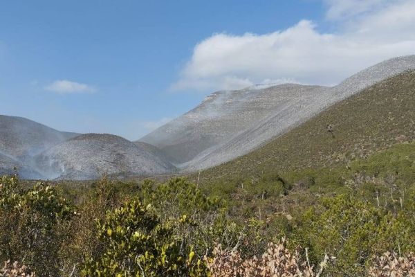 Incendio en Bustamante sigue activo y moviliza  a fuerzas de los tres niveles de gobierno