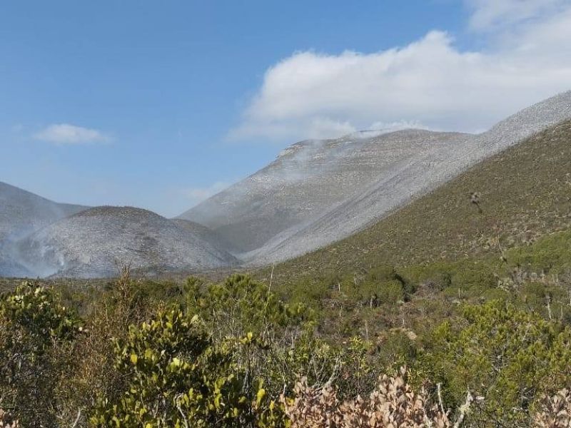 Incendio en Bustamante sigue activo y moviliza  a fuerzas de los tres niveles de gobierno