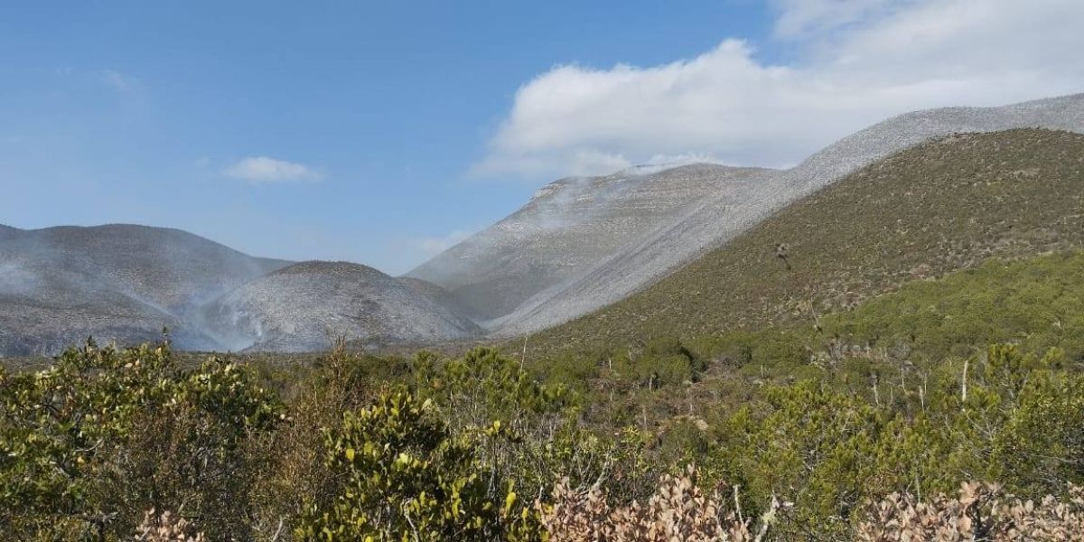 Incendio en Bustamante sigue activo y moviliza  a fuerzas de los tres niveles de gobierno