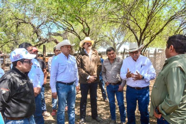 Tamaulipas y Nuevo León cierran filas contra  peligrosa plaga que amenaza al ganado