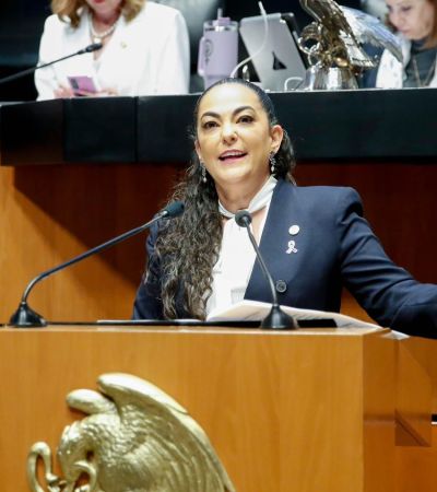 Senado aprueba dictamen en materia de protección de datos personales impulsado por Olga Sosa