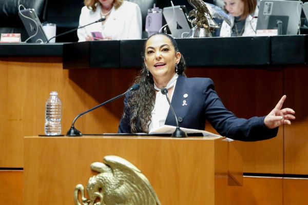 Senado aprueba dictamen en materia de protección de datos personales impulsado por Olga Sosa