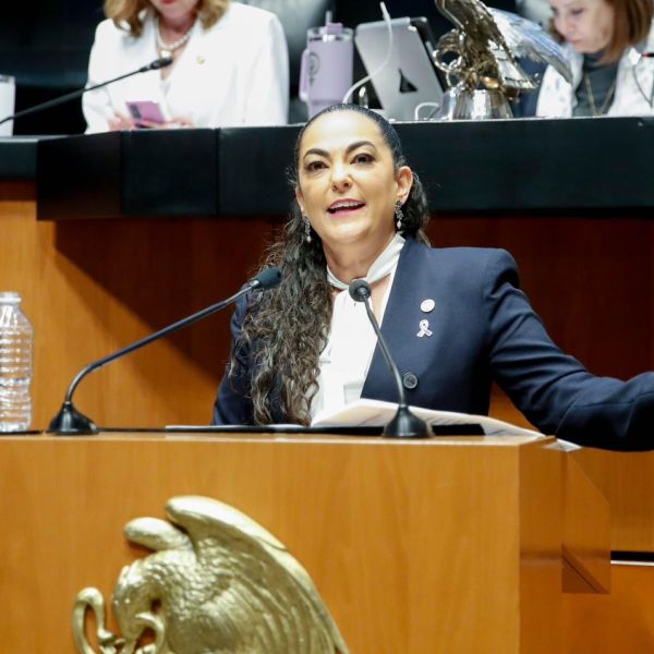 Senado aprueba dictamen en materia de protección de datos personales impulsado por Olga Sosa