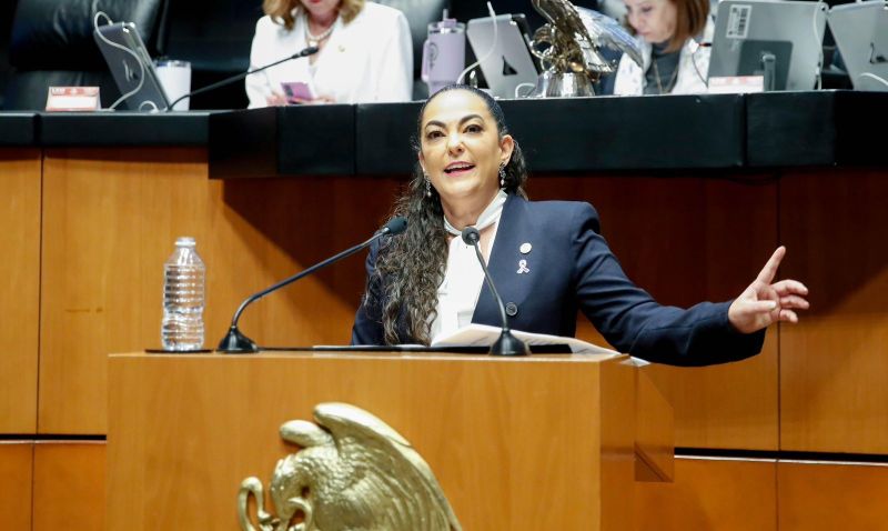 Senado aprueba dictamen en materia de protección de datos personales impulsado por Olga Sosa