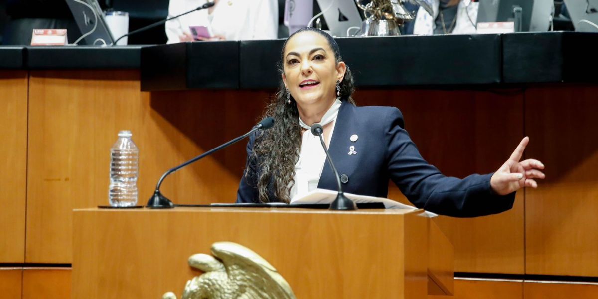 Senado aprueba dictamen en materia de protección de datos personales impulsado por Olga Sosa